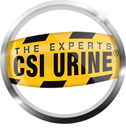 CSI
