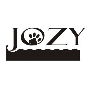 Jozy
