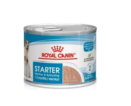 Royal Canin  STARTER MOUSSE CAN 195g