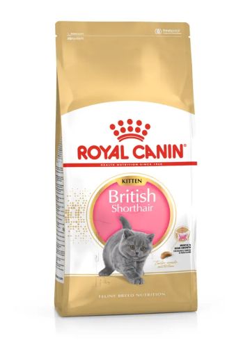 Royal Canin  BRITISH SHORTHAIR KITTEN - Пълноценна суха храна за подрастващи британски късокосмести котенца до 12 месеца