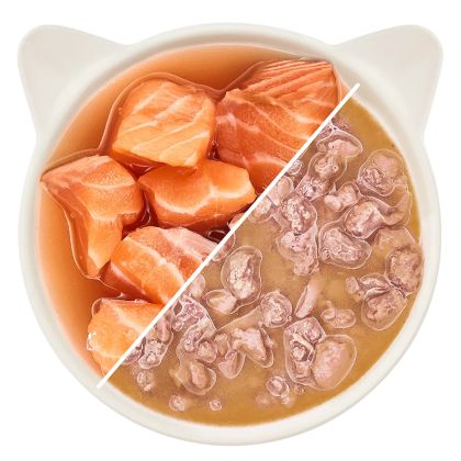 WOW Cat пауч Сьомга филе в сос 85гр