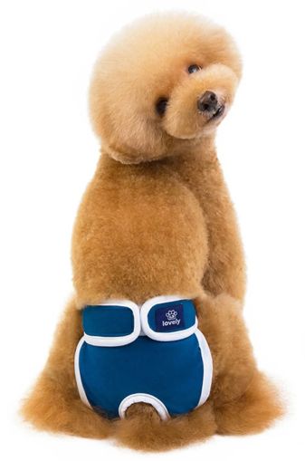 PlayMe Pants for dog - Гащички за куче, сини или жълт S, M, L, XL