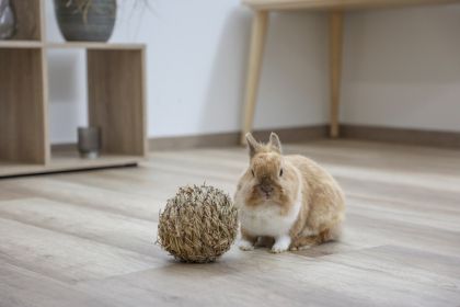 Kerbl - Grass ball - Сламена топка, 13 см.