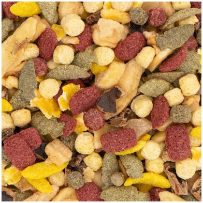 JR FARM - Плодова салата за гризачи 200g