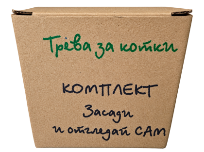 Комплект Засади и отгледай сам трва за котки 