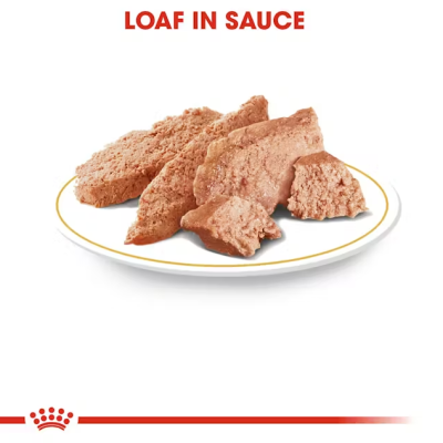 ROYAL CANIN CHIHUAHUA POUCH 85g - пауч за куче Чихуахуа 