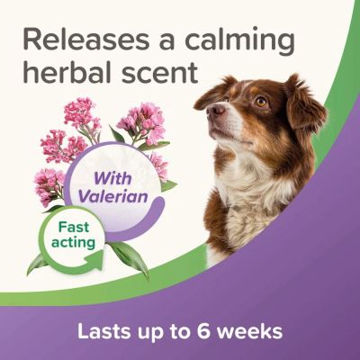 Beaphar Calming Spot On dog -  успокояващи пипети за кучета, 3 броя