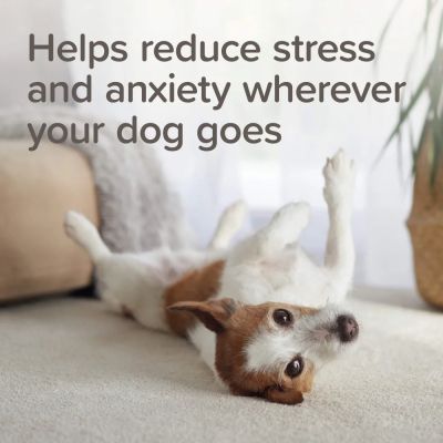 Beaphar Calming Collar dog -  успокояващ нашийник за кучета