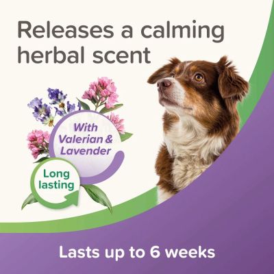 Beaphar Calming Collar dog -  успокояващ нашийник за кучета