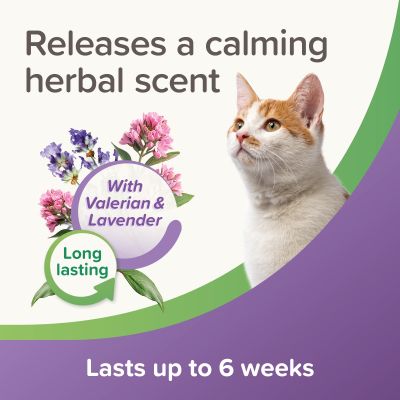 Beaphar Calming Collar cat -  успокояващ нашийник за котки
