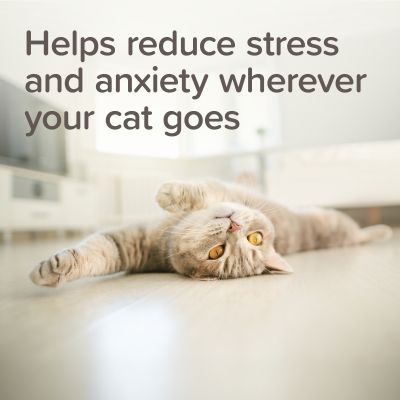 Beaphar Calming Collar cat -  успокояващ нашийник за котки