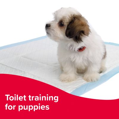 Beaphar Puppy Trainer 20ml - привличащи капки 