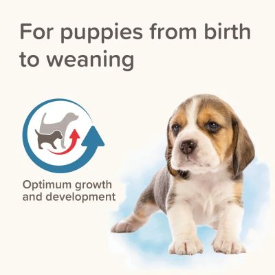 Beaphar Lactol Puppy ,сухо мляко за кученца,250гр