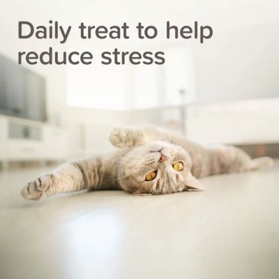 Beaphar Calming Bits –  успокояващи хапки за котки,35гр