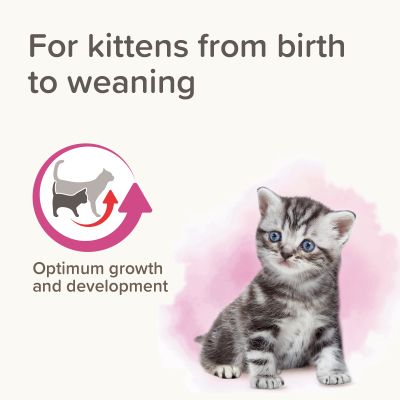 Beaphar Lactol cat ,сухо мляко за котенца,250гр