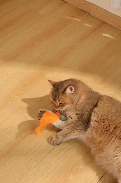 M-pets Cat Toy a Bug with Catnip - Играчка за котка Буболечка с катнип оранжев цвят