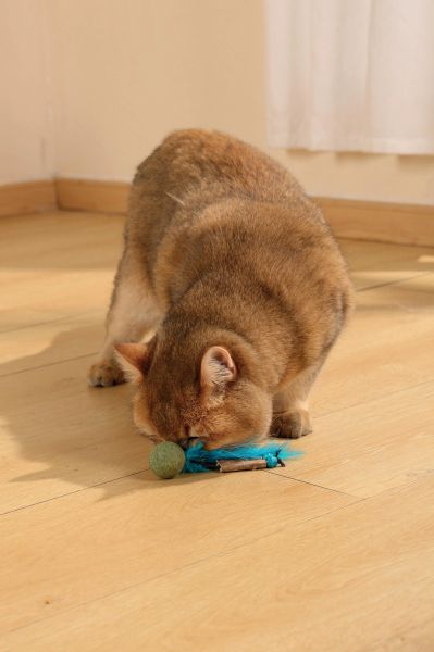 M-pets Cat Toy a Bug with Catnip Blue - Играчка за котка Буболечка с катнип син цвят