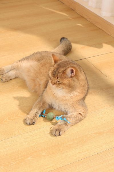 M-pets Cat Toy Branch with Catnip - Играчка за котка Клонче с катнип
