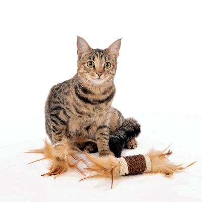 M-Pets - Natura Rolls Pack - Котешка играчка 2бр. рулца с пера, натурална 24x4.5x4.5 см