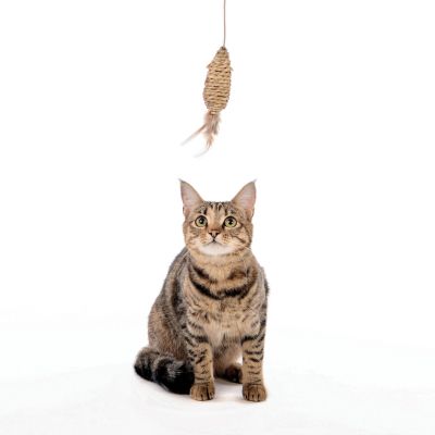 M-Pets - Natura Mouse Wand - Въдица Мишка, натурална 35 см