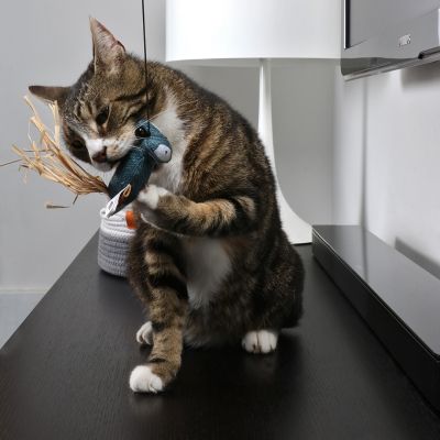 EBI Въдица Плетениa животинкa ROCCO 35 см