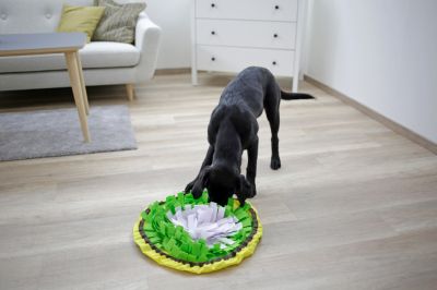 Kerbl - Snuffle Mat Bowl - килимче за лакомства купа