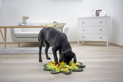 Kerbl - Snuffle Mat Sunflower - килимче за лакомства цвете