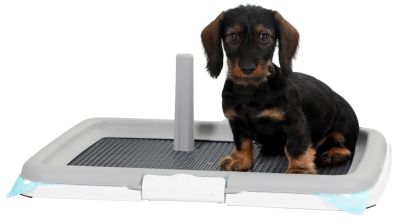 Kerbl Puppy Toilet Training Set - Домашна тоалетна за кученца  60 / 40 