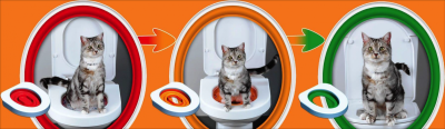 Litter Kwitter - Cat Toalet Training System - система за обучение на котки за ползване на човешка тоалетна