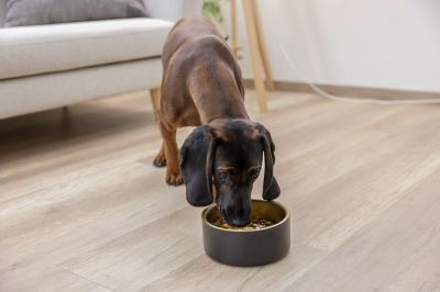 Stainless Steel Bowl Golden Двустенна стоманена купа 1800 мл