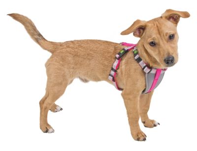 Kerbl - Harness for Small Dogs - розов нагръдник за малки породи  S