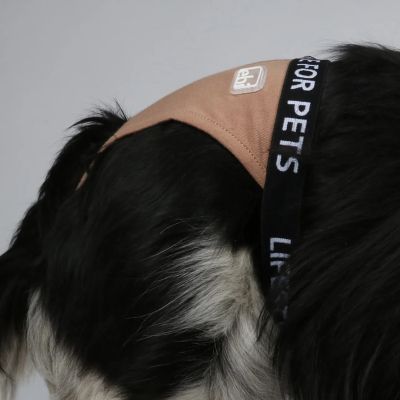 Ebi Dog Pants Brown - Гащички за куче с 3 подложки кафяви XS, S, M, L, XL, XXL