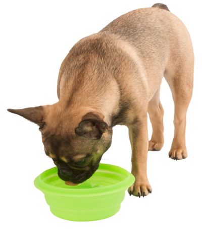 Kerbl - Сгъваема силиконова купа 1000 мл, цвят зелен