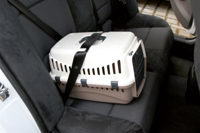 Kerbl Transport Box Expedion – транспортна чанта за куче или котка до 10 кг  45 / 30 / 30 см крем
