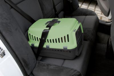 Kerbl Transport Box Expedion – транспортна чанта за куче или котка до 10 кг зелена