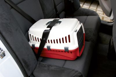 Kerbl Transport Box Expedion – транспортна чанта за куче или котка до 10 кг  -бордо