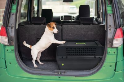 M-pets Trek Eco - Транспортна чанта за куче или котка Трек L, 96 / 63 / 67 см, с колелца
