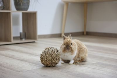  Kerbl - Grass ball - Сламена топка, 13 см.