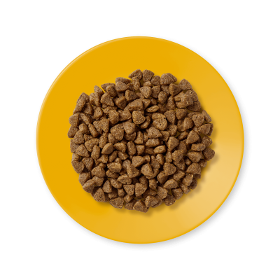  Applaws kitten chicken – суха храна за малки котета до 1г. И бременни и кърмещи котки с 80% пиле 