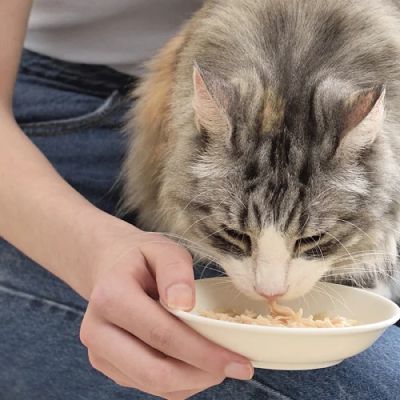 Inaba Chicken Broth with Tuna - Пауч за котка пилешки бульон с риба тон 40 гр