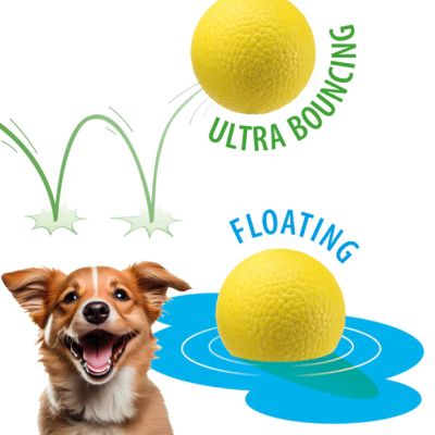 Ferplast CHEWA BOING BALL L - Играчка топка за кучета