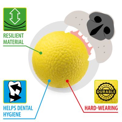 Ferplast CHEWA BOING BALL L - Играчка топка за кучета