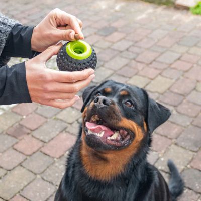 Ferplast CHEWA BOING DISPENSER L - Играчка за лакомство за кучета