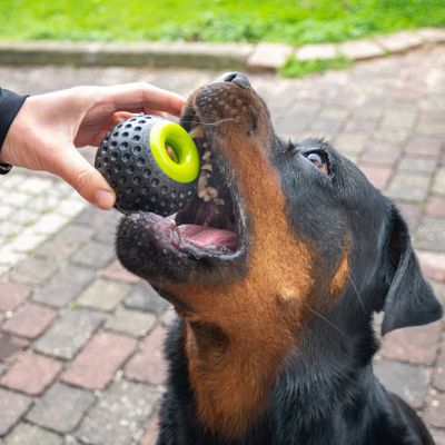 Ferplast CHEWA BOING DISPENSER L - Играчка за лакомство за кучета