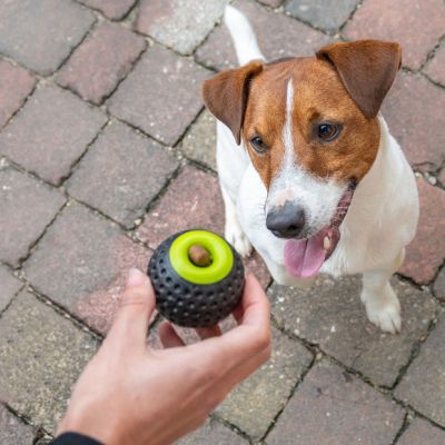 Ferplast CHEWA BOING DISPENSER M - Играчка за лакомство за кучета