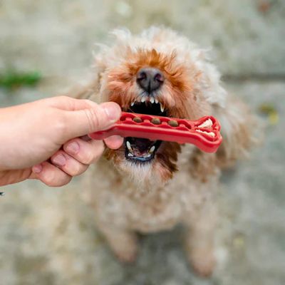 Ferplast SMILE BONE S - Зъбна играчка за кучета, кост, пълнима с гранули червен