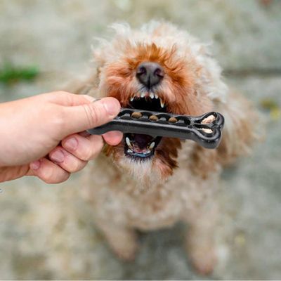 Ferplast SMILE BONE S - Зъбна играчка за кучета, кост, пълнима с гранули черен