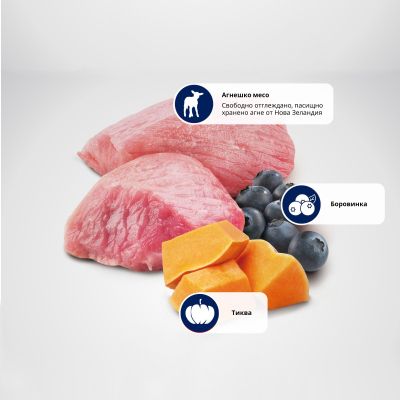 N&D PUMPKIN LAMB&BLUEBERRY, PUPPY MINI – пълноценна храна с тиква за подрастващи кучета от дребни породи с агне и боровинки