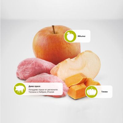 N&D PUMPKIN BOAR&APPLE ADULT MINI  - пълноценна храна с тиква за кучета в зряла възраст над 1г. от дребни породи с глиганско и ябълка