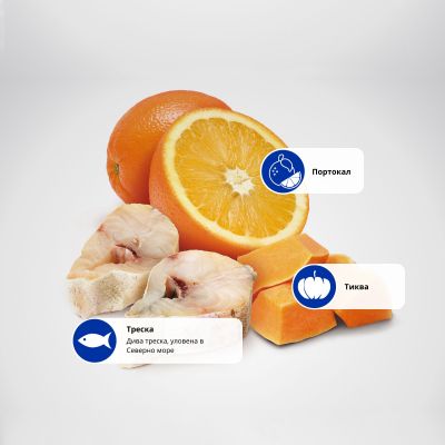N&D PUMPKIN CODFISH&ORANGE ADULT MINI - пълноценна храна с тиква за кучета в зряла възраст над 1г. от дребни породи с риба треска и портокал